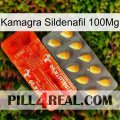 Kamagra Sildenafil 100Mg new01